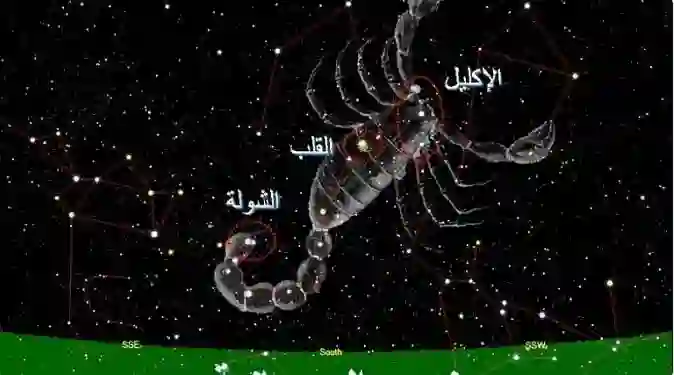الحصيني يكشف عن علامات دخول المربعانية وكيف تعرفها من بداية يوم الأحد 