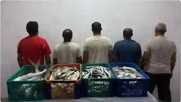 السعودية تبدأ القبض على المصريين بسبب ما يحدث في البحر الأحمر 