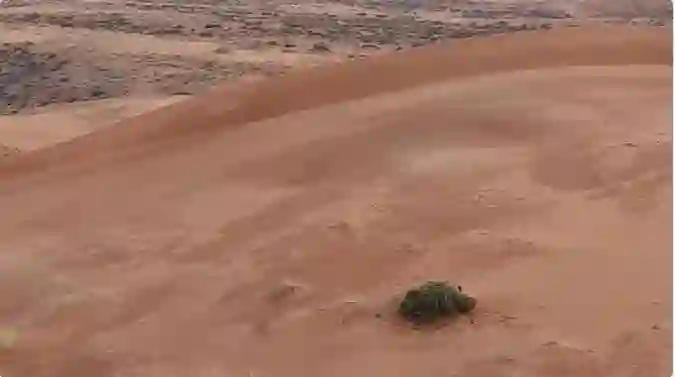 الامطار ترسم منظر عجيب في رفحاء يجذب الآلاف لمشاهدة المعجزة 