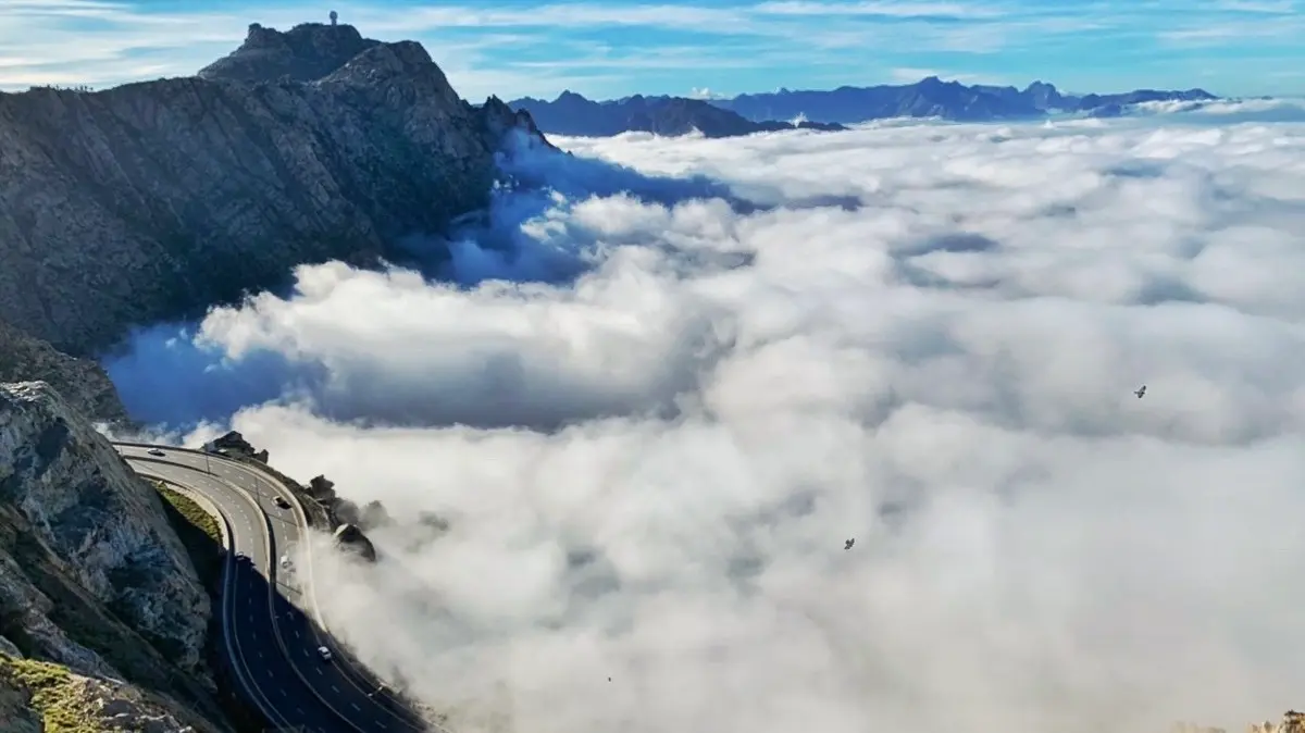 الطائف تحقق المعجزة التي جعلتها تتفوق على الرياض وجدة 