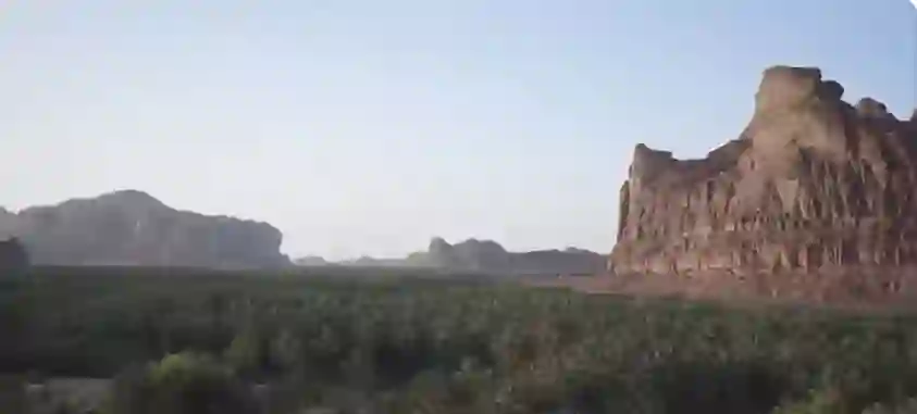 فيديو للأنهار تتفجر من صحراء السعودية وتحولها الى جنات خضراء 