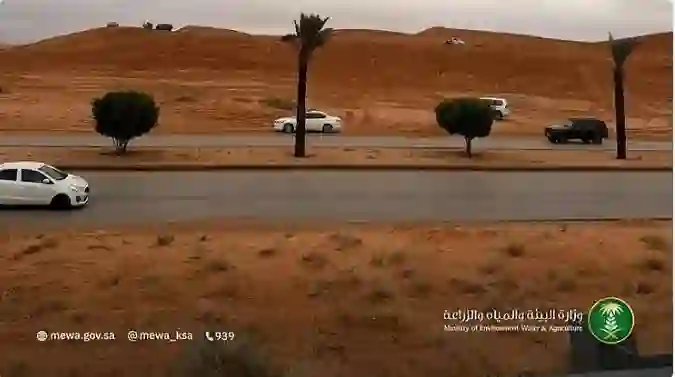 البيئة تبشر سكان القصيم 