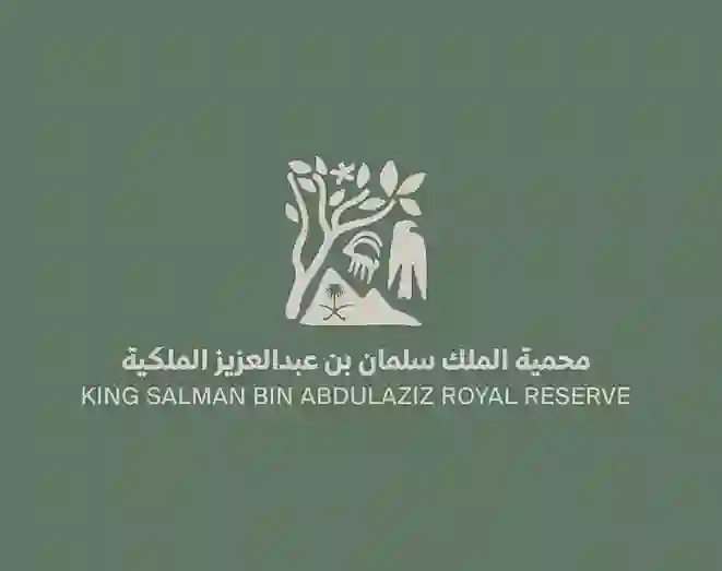 طائر يظهر في سماء السعودية لأول مرة بلونه الأبيض اللافت 